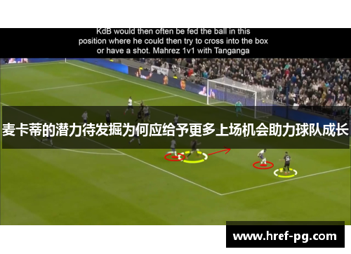 麦卡蒂的潜力待发掘为何应给予更多上场机会助力球队成长